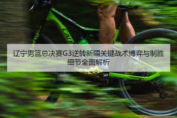 辽宁男篮总决赛G3逆转新疆关键战术博弈与制胜细节全面解析